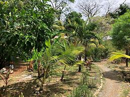 Don Jons Lodge -Surf & Yoga