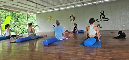 Don Jons Lodge -Surf & Yoga