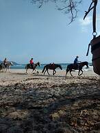 Don Jons Lodge -Surf & Yoga