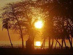 Don Jons Lodge -Surf & Yoga