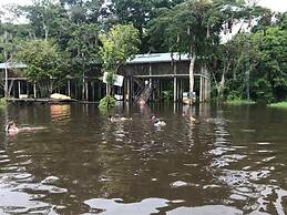 Reserva Natural Yavary Tucano