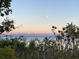 Brand New Walk Out Bsmt Apt Near Beach