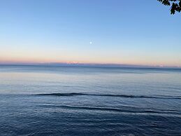 Brand New Walk Out Bsmt Apt Near Beach