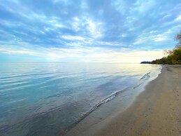 Brand New Walk Out Bsmt Apt Near Beach