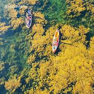 Xavia Hotel Quy Nhon