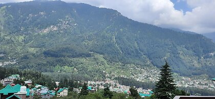 Mastiff Xanadu Manali