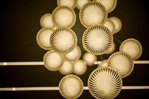 Hotel Heraa International