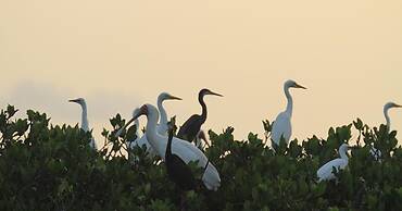 Résidence LE MARLODJ