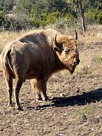 Y.O. Ranch Headquarters