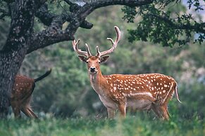 Y.O. Ranch Headquarters
