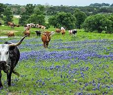 Y.O. Ranch Headquarters