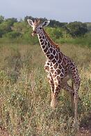 Y.O. Ranch Headquarters