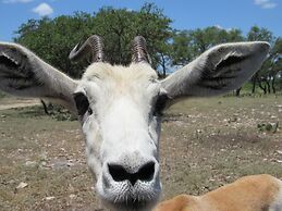 Y.O. Ranch Headquarters