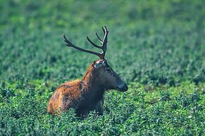 Y.O. Ranch Headquarters