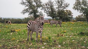 Y.O. Ranch Headquarters
