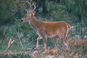 Y.O. Ranch Headquarters