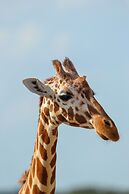 Y.O. Ranch Headquarters