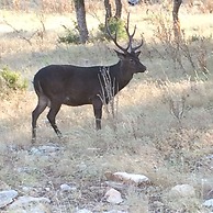 Y.O. Ranch Headquarters