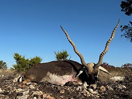 Y.O. Ranch Headquarters