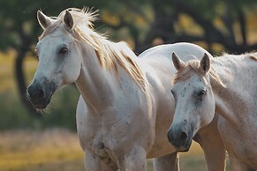 Y.O. Ranch Headquarters