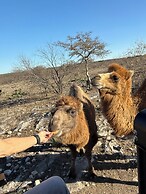 Y.O. Ranch Headquarters
