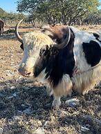 Y.O. Ranch Headquarters