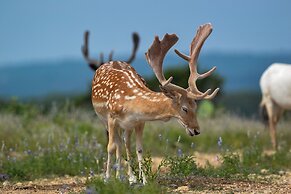 Y.O. Ranch Headquarters