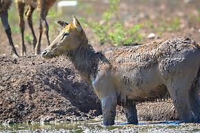 Y.O. Ranch Headquarters