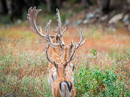 Y.O. Ranch Headquarters