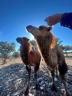 Y.O. Ranch Headquarters