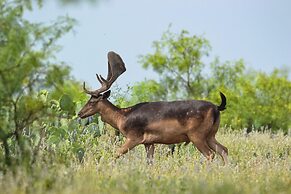 Y.O. Ranch Headquarters