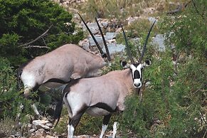 Y.O. Ranch Headquarters