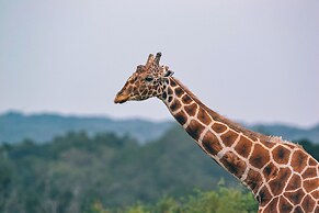 Y.O. Ranch Headquarters