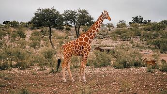 Y.O. Ranch Headquarters