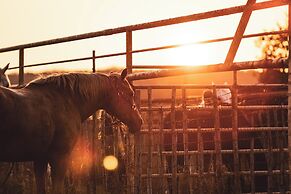 Y.O. Ranch Headquarters