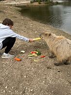 Y.O. Ranch Headquarters