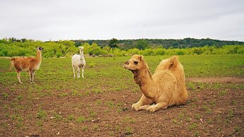 Y.O. Ranch Headquarters