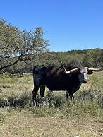 Y.O. Ranch Headquarters