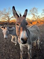 Y.O. Ranch Headquarters