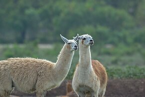 Y.O. Ranch Headquarters