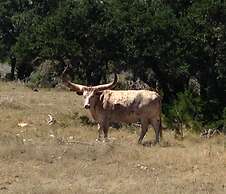 Y.O. Ranch Headquarters