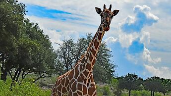 Y.O. Ranch Headquarters