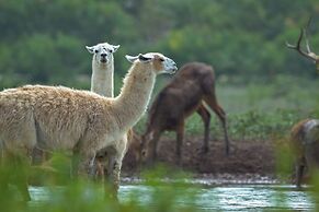 Y.O. Ranch Headquarters