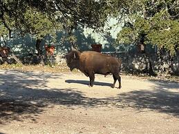 Y.O. Ranch Headquarters