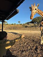 Y.O. Ranch Headquarters