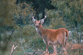 Y.O. Ranch Headquarters