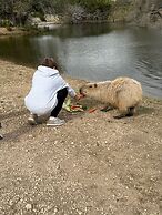 Y.O. Ranch Headquarters