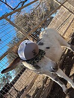 Y.O. Ranch Headquarters