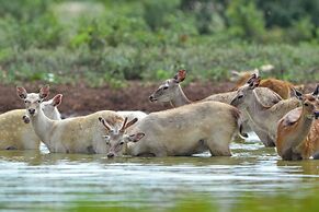 Y.O. Ranch Headquarters