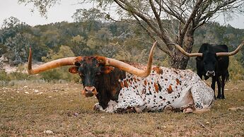 Y.O. Ranch Headquarters